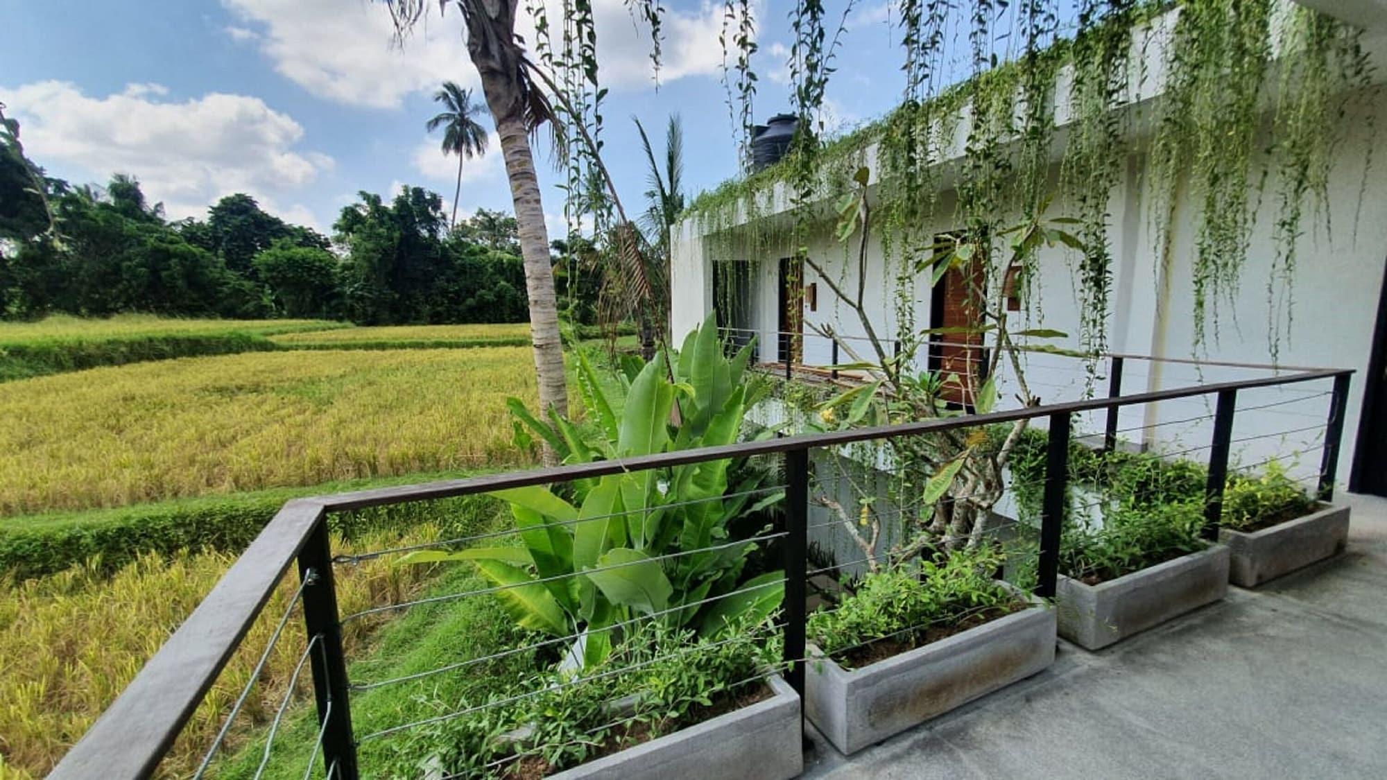 Hotel Ayurvedagram Bali Ubud Exterior foto